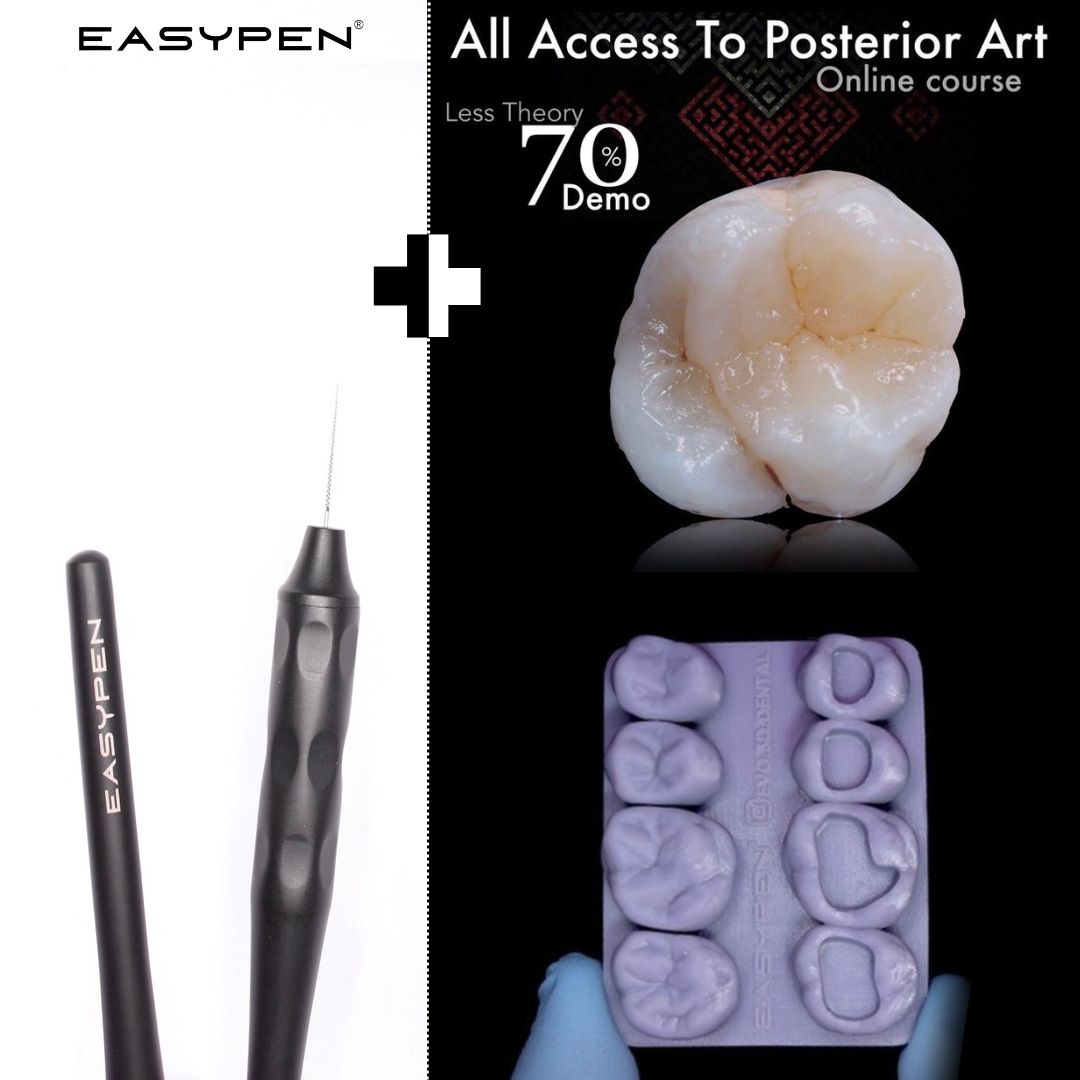 EASYPEN + Online Course + Evo 3D Training Modeling Block