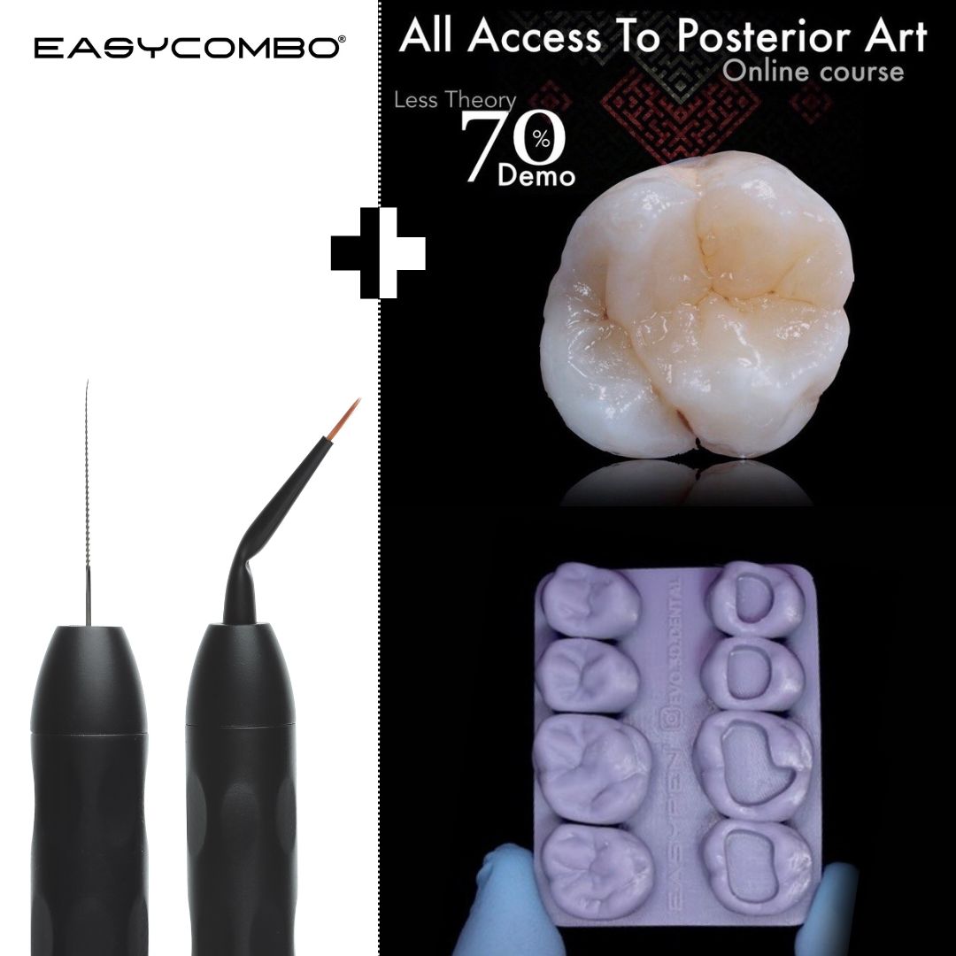 EASYCOMBO + Online Course + Evo 3D Training Block